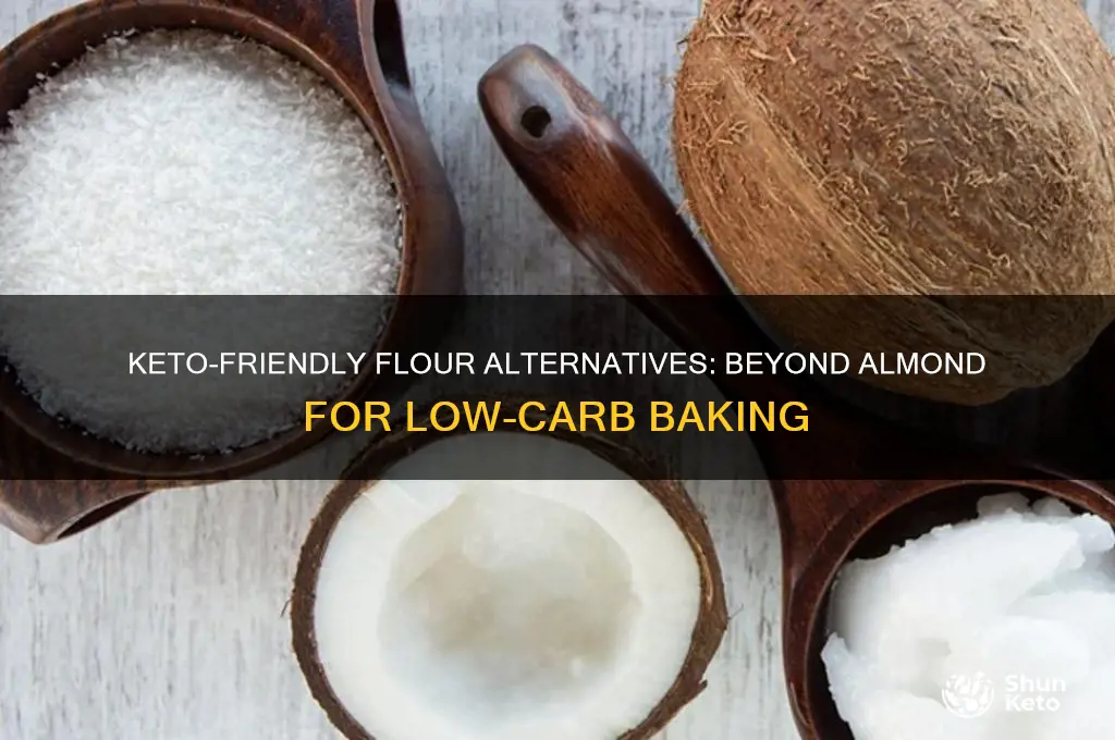 what flour is available for keto diet besides almond