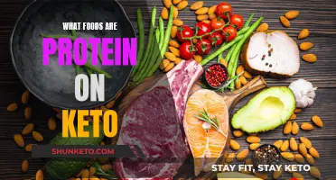 High-Protein Foods for Your Keto Diet