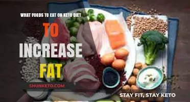 Keto-Friendly Fats: Top Foods to Boost Your Fat Intake