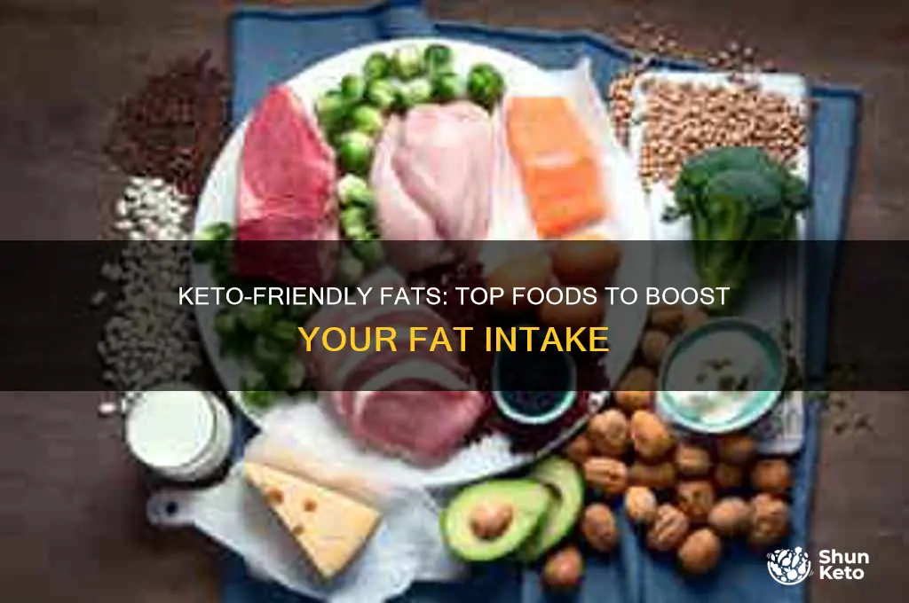 what foods to eat on keto diet to increase fat