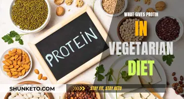 Vegetarian Sources of Protein: A Healthy Diet