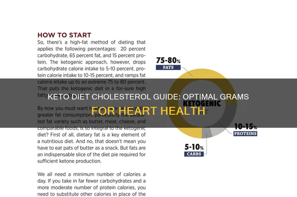 what grams of cholesterol on keto diet