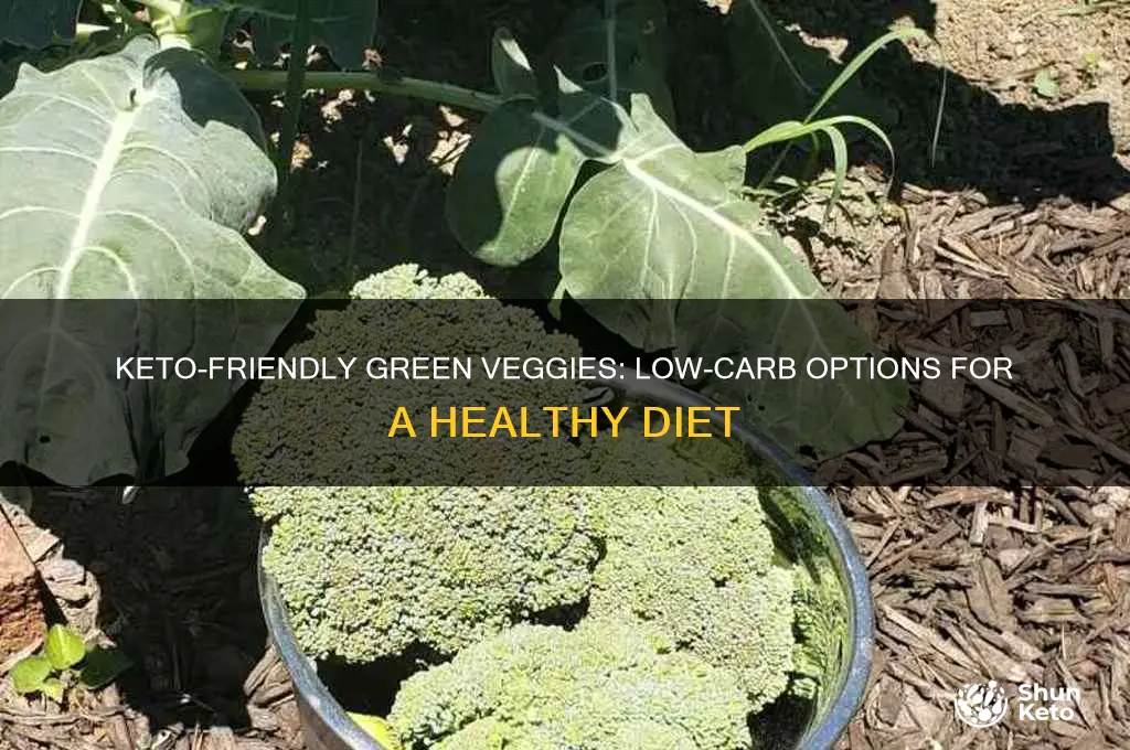 what green veg can you eat on the keto diet