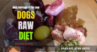 Cooking Raw Dog Food: Safe or Risky?