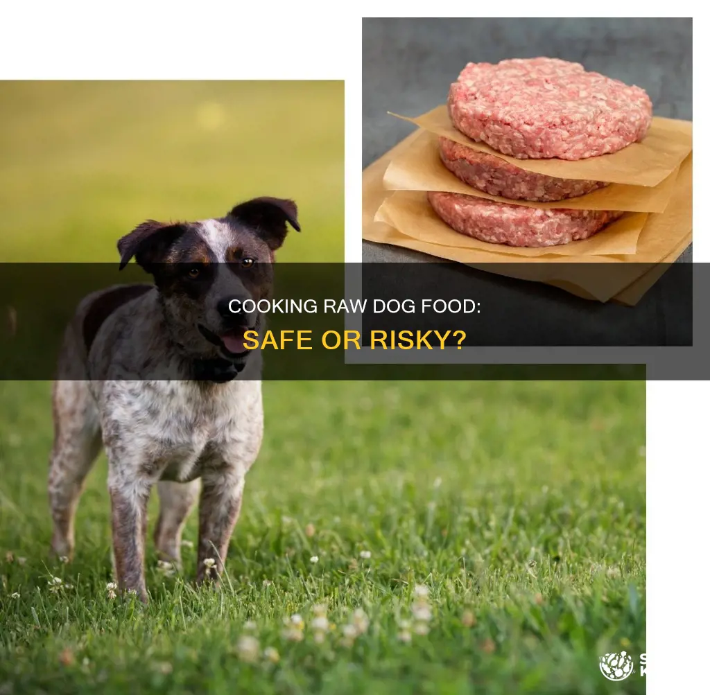 what happends if you cook dogs raw diet