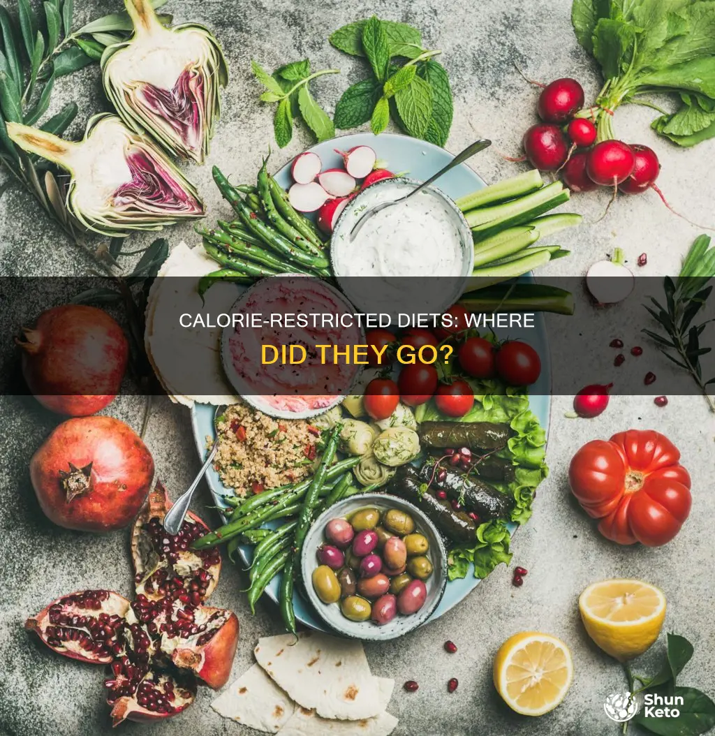 what happened to 1000 calorie diets