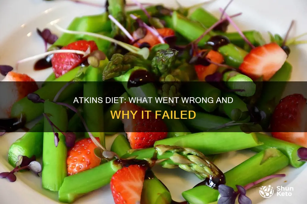 what happened to atkins diet