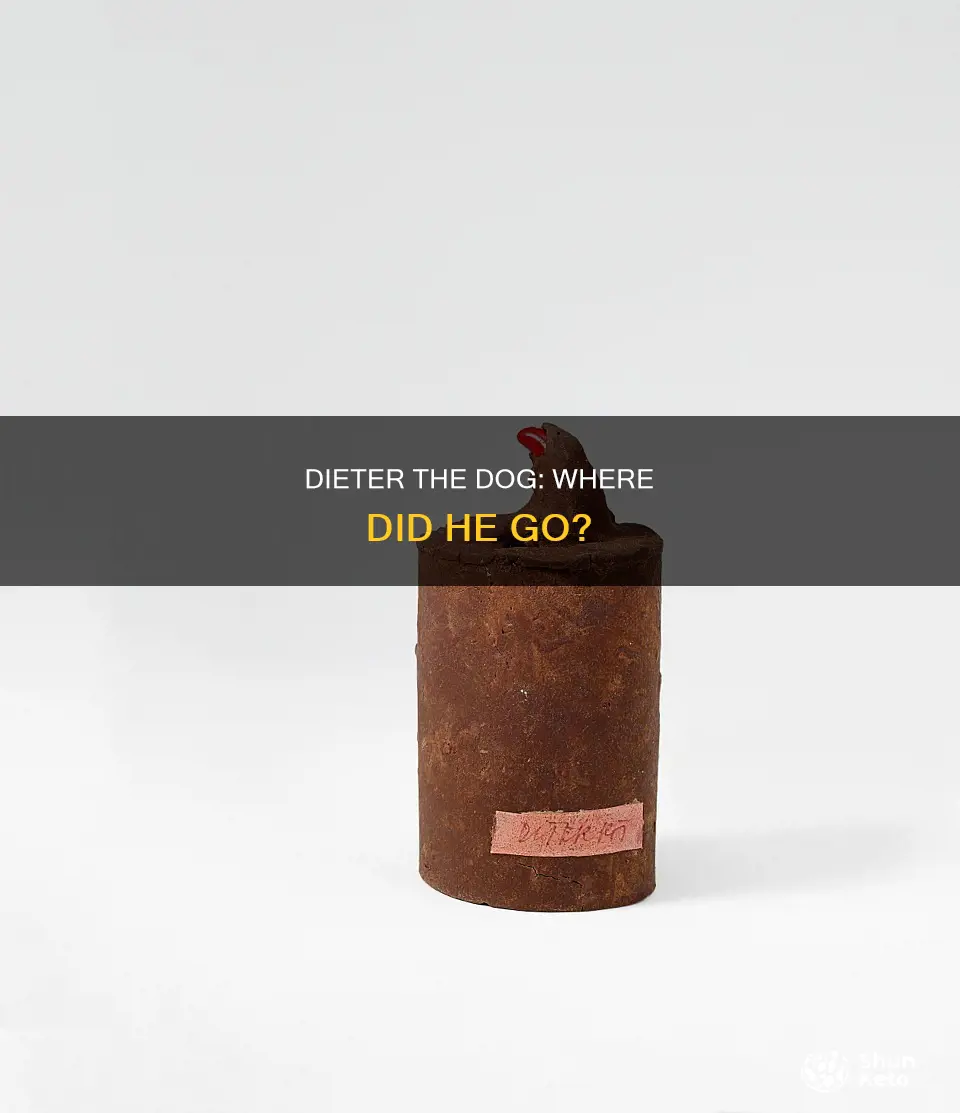 what happened to dieter the dog