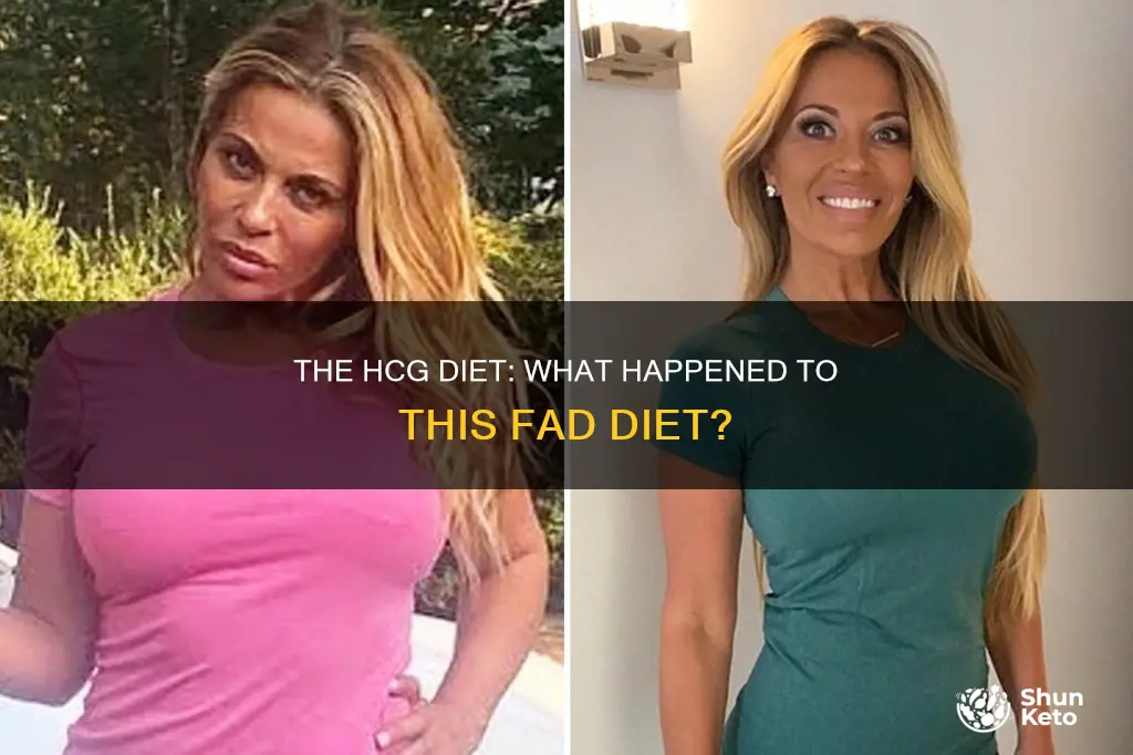 what happened to the hcg diet