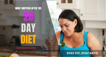 Post-Diet: What Comes Next?