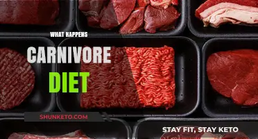 Carnivore Diet: What to Expect and the Benefits