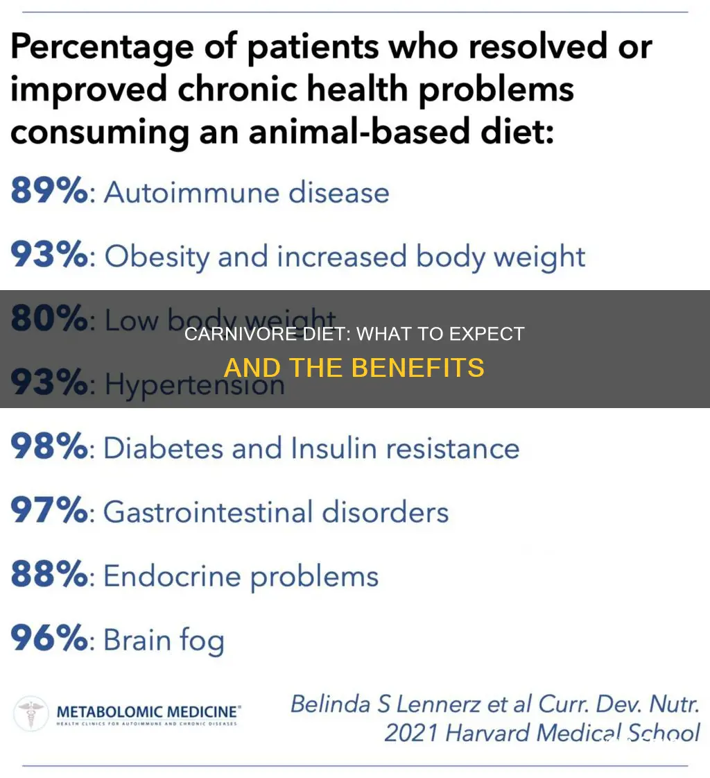what happens carnivore diet