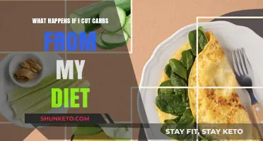 Carb-Free Diet: What to Expect and the Potential Risks