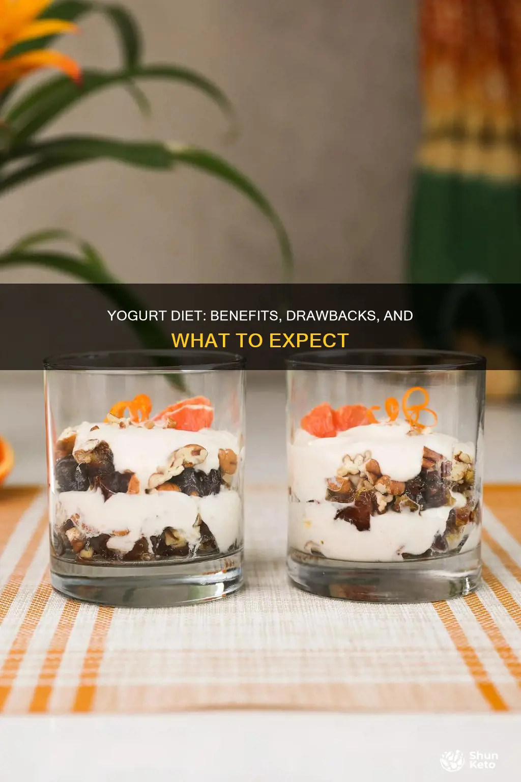 what happens if i go on a yogurt diet