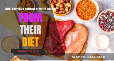 Protein-Free Diets: Impact on the Body
