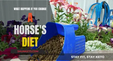 Horse Diet Changes: Impacting Health and Performance