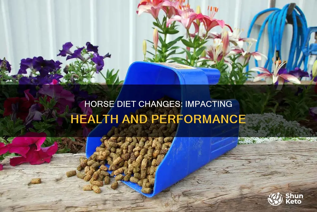 what happens if you change a horse