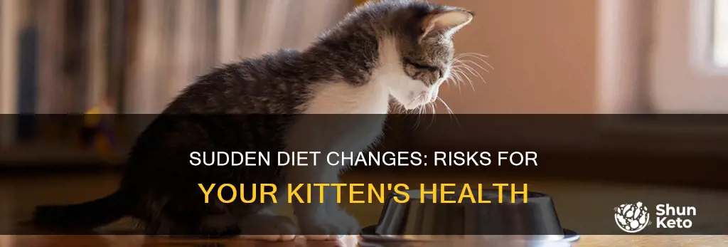 what happens if you change your kitten