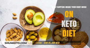 Keto Diet's Impact: Unveiling Your Body's Metabolic Transformation Inside Out
