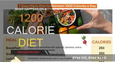Calorie-Controlled Diet: What to Expect Eating 1200 Calories a Day