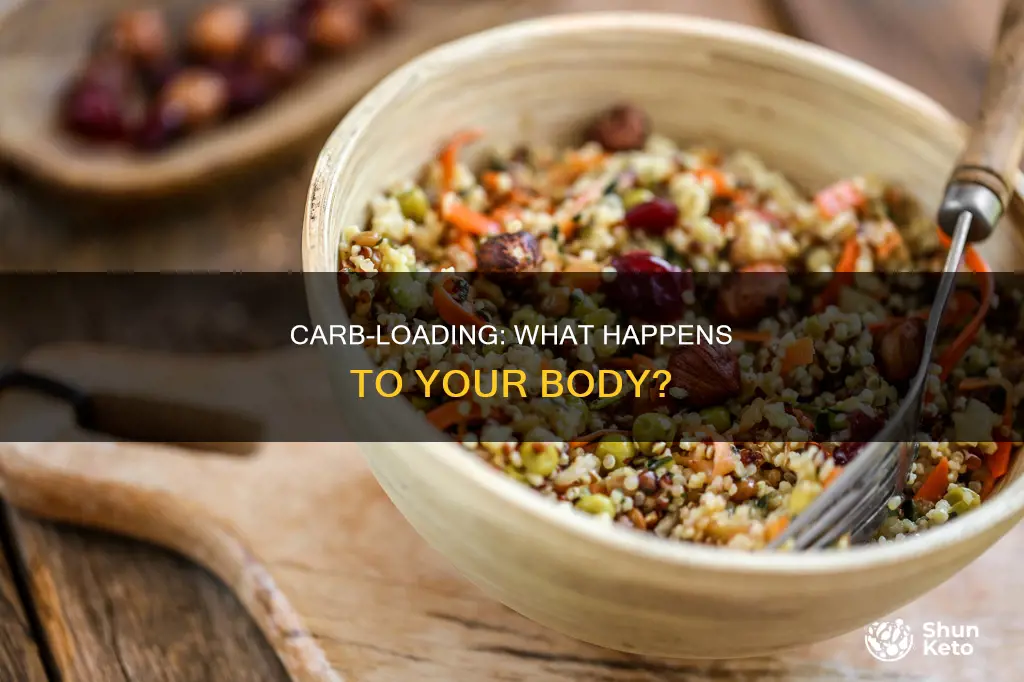 what happens on an all carb diet