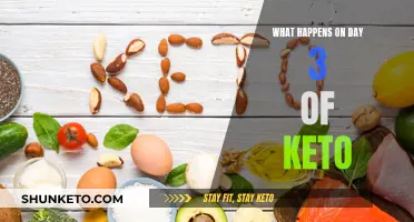 Keto Diet: Day 3, What to Expect