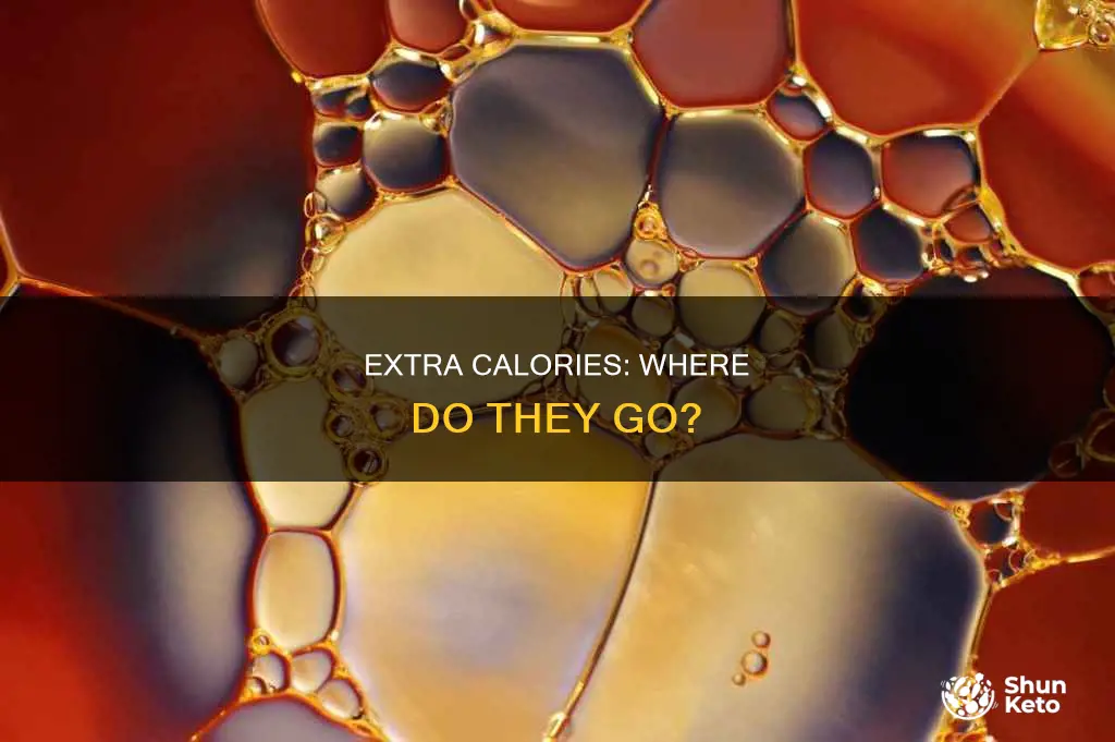what happens ro surplus calories in the diet