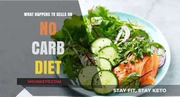 Cells on No-Carb: Starving or Thriving?