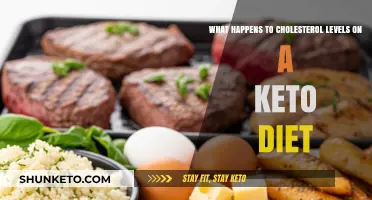 Keto Diet Impact: How Cholesterol Levels Change on Low-Carb Plans