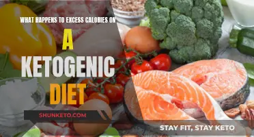 Ketogenic Diet: Excess Calories and Their Fate
