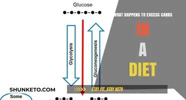 Carbs and Dieting: What Happens to Excess?