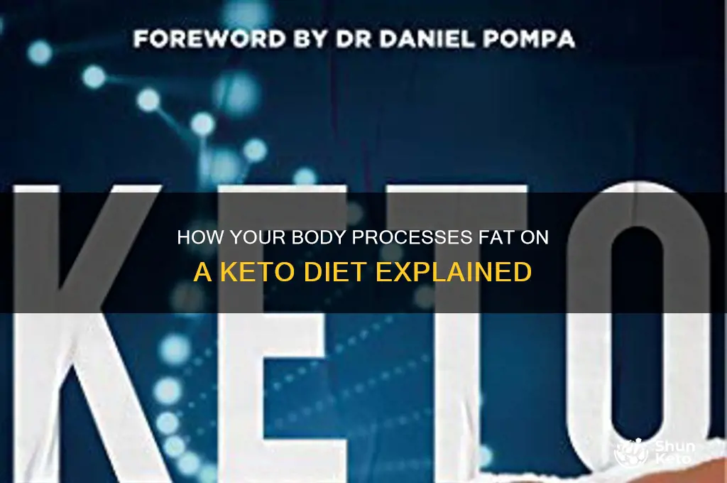 what happens to fat we eat in keto diet