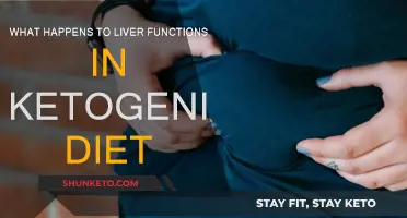 Ketogenic Diet: Impact on Liver Functions