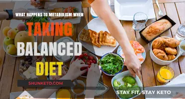 Metabolism and Balanced Diets: A Dynamic Duo
