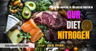 Excess Dietary Protein: Nitrogen's Fate in the Body