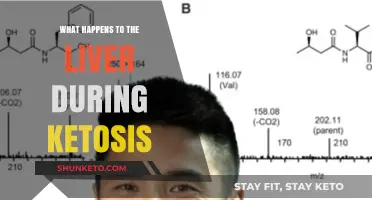 Ketosis and Liver Function: Understanding the Impact on Your Body