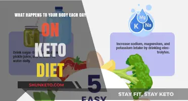 Daily Keto Effects: How Your Body Adapts on a Low-Carb Diet