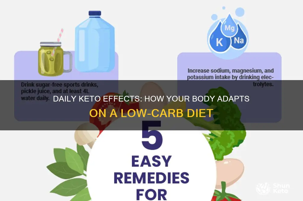 what happens to your body each day on keto diet