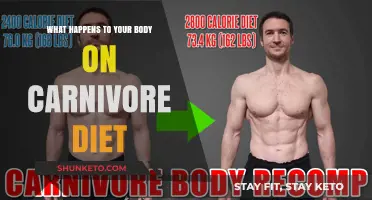 Carnivore Diet: Impact on Your Body