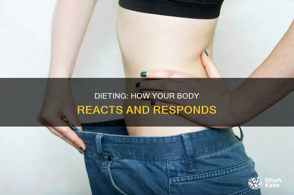 what happens to your body when you start a diet