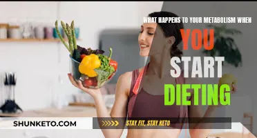 Metabolism and Dieting: What's the Real Impact?