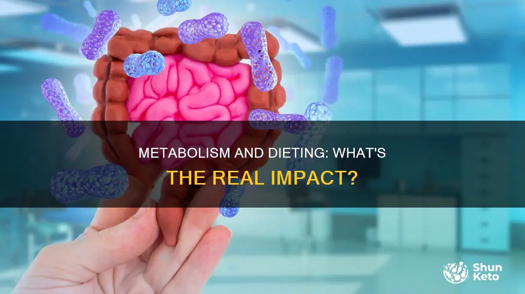 what happens to your metabolism when you start dieting