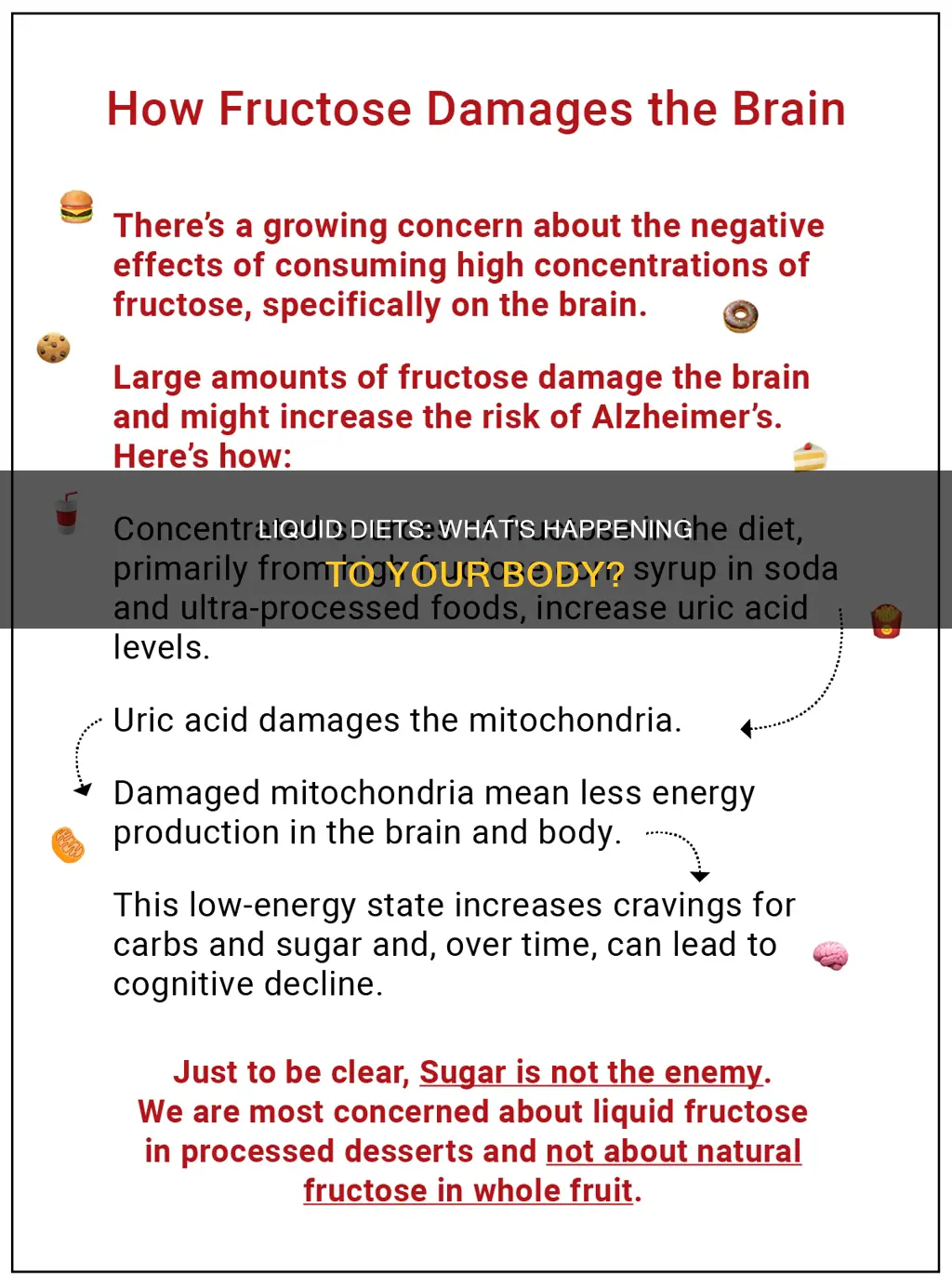 what happens to youyr body on a liquid diet