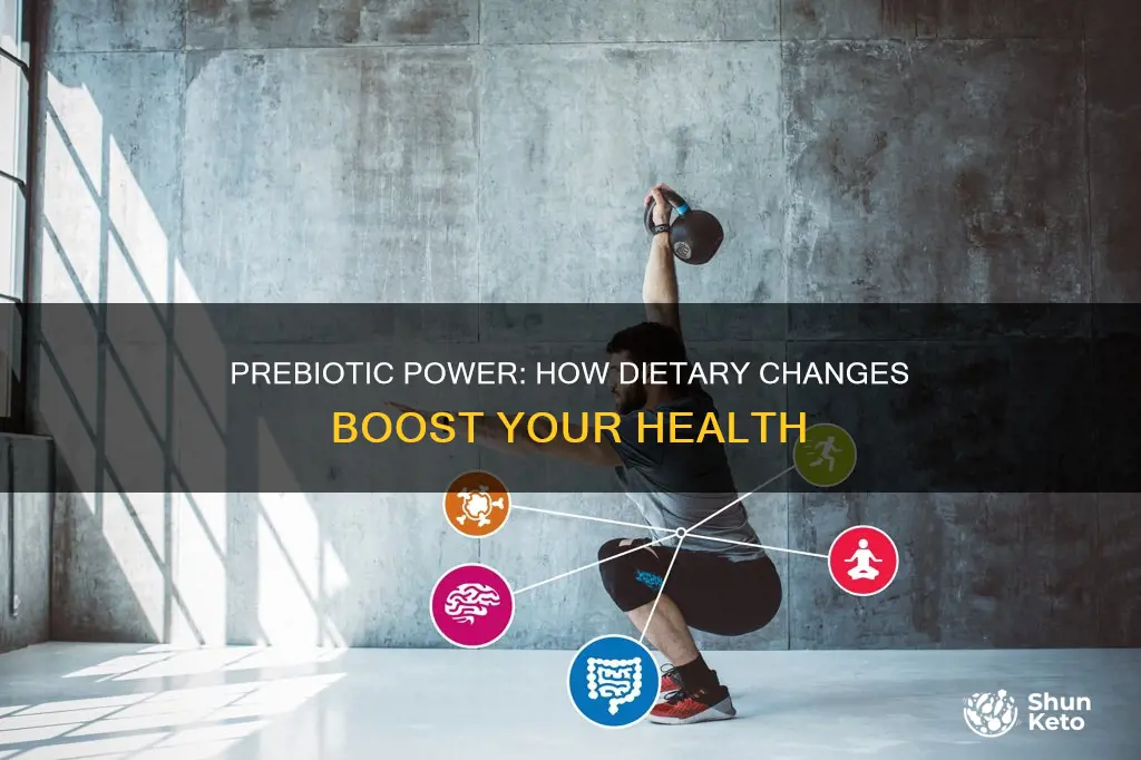 what happens when you add prebiotics to your diet