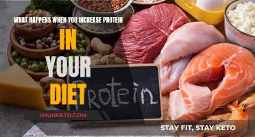 Protein Power: How More Protein Transforms Your Body