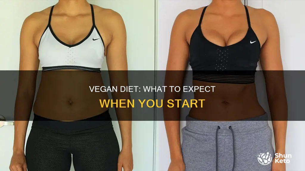 what happens when you start a vegan diet