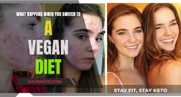 Vegan Diet: Benefits, Challenges, and Life-Changing Results