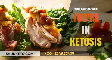 Ketosis Explained: Understanding the Body's Fat-Burning Metabolic State