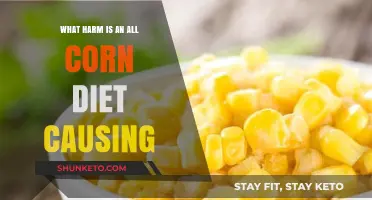 Corn-Fed: The Dark Side of a Yellow Diet