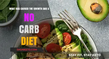 Carb-Free Craze: Why No-Carb Diets are Gaining Traction